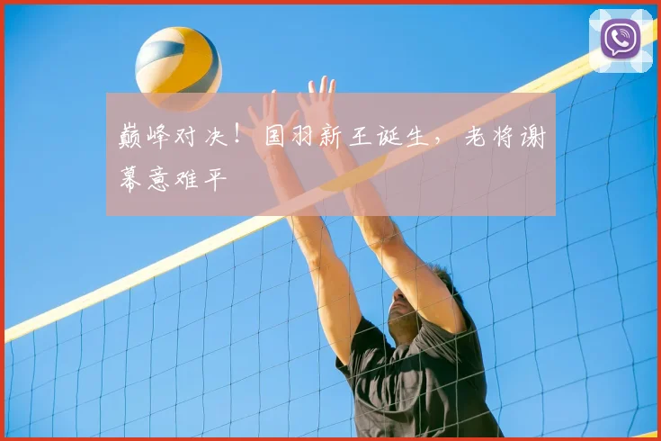 巅峰对决！国羽新王诞生，老将谢幕意难平